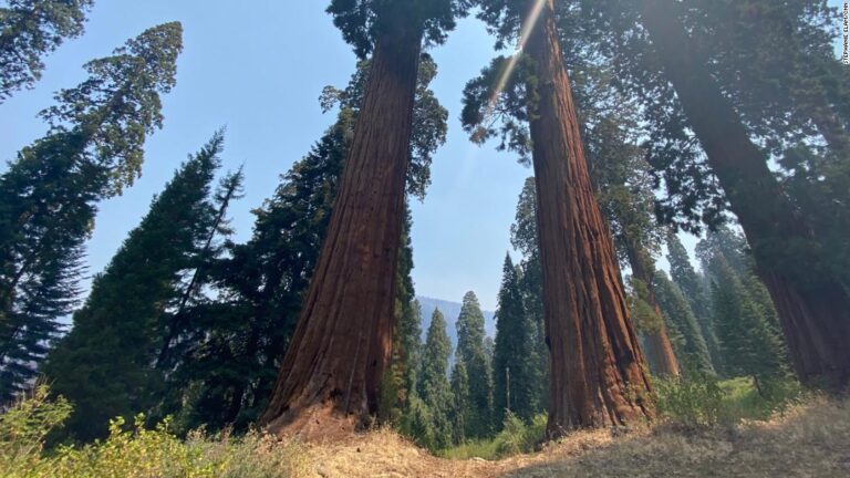 Climate change could wipe out iconic California landmarks