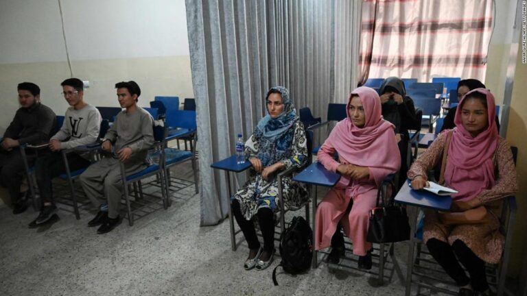 Curtains separate male and female Afghan students as new term begins under Taliban rule