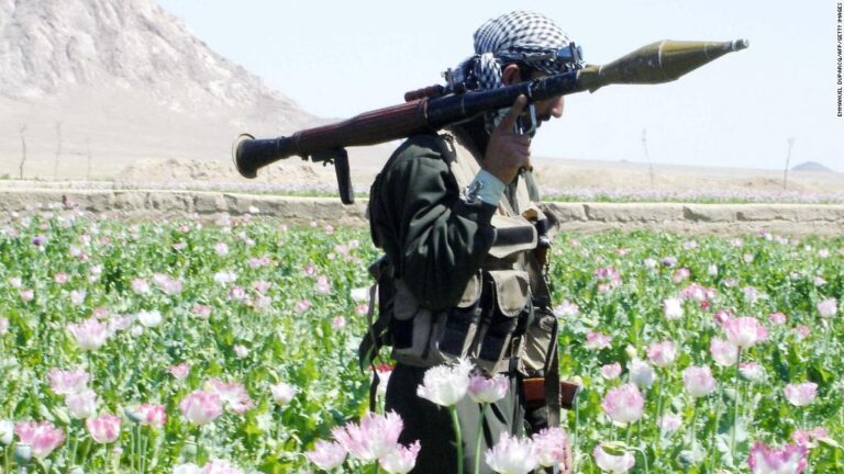 Afghanistan is the world’s opium king. Can the Taliban afford to kill off their ‘un-Islamic’ cash cow?