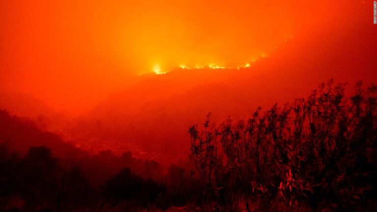 The planet is on a ‘catastrophic’ global warming path, UN report shows