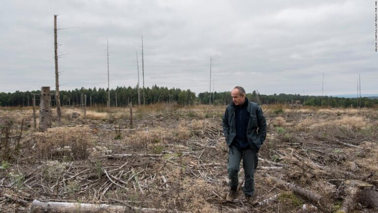 The climate crisis facing Germany’s next chancellor