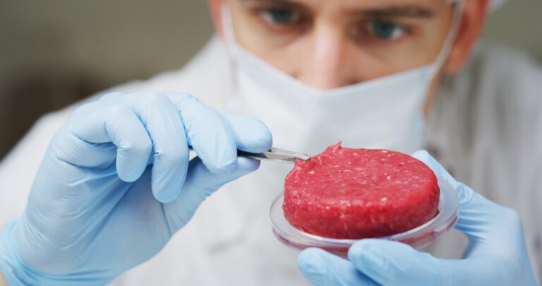 ‘Get used to it!’: Lab-grown meat is here to save the Gulf from hunger, says Khaled bin Alwaleed