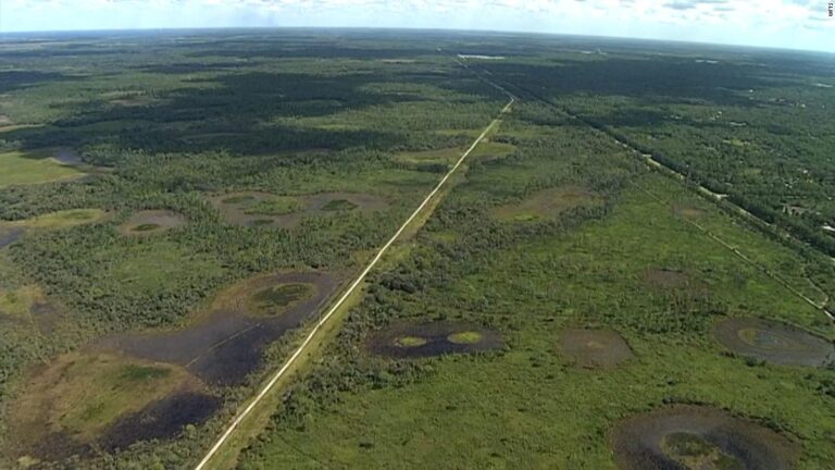 New details of Brian Laundrie’s movements emerge as officials find recent campsite in Florida reserve