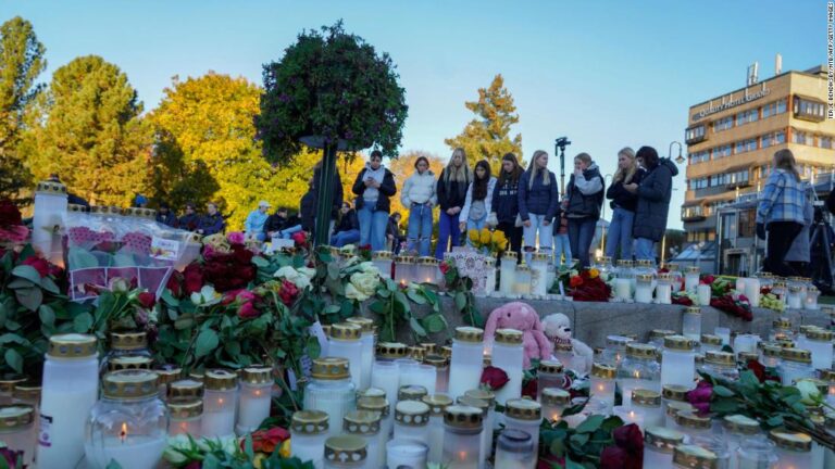 Norway attack victims were killed by stabbings, not arrows, police say