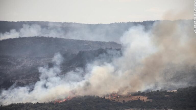 Syria executes 24 people charged with lighting devastating wildfires