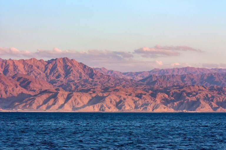 NEOM’s green hydrogen plant to operate in 2026: Air Product’s CEO