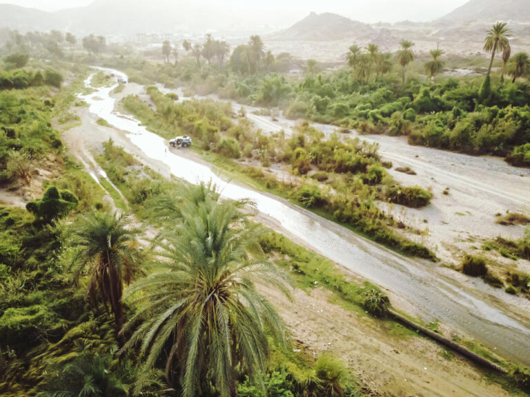 How AI and Robotics will help deliver The Saudi Green Initiative