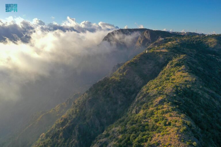 PIF-backed Soudah Development to plant more than 1 million trees in Soudah, parts of Rijal Almaa