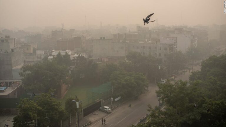 Delhi pollution levels soar after residents defy Diwali fireworks ban