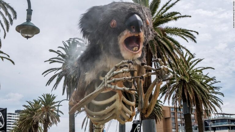 Skeletal koalas and passionate pleas: Activists across the world join a ‘Global Day of Action’