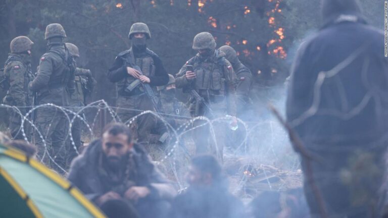 ‘We drank from puddles’: Migrants describe brutal journey through forests on Belarus-Poland border