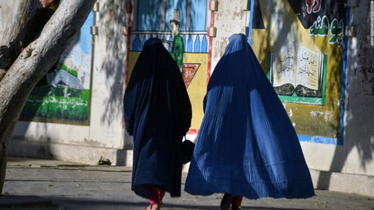 Women banned from Afghan television dramas by Taliban