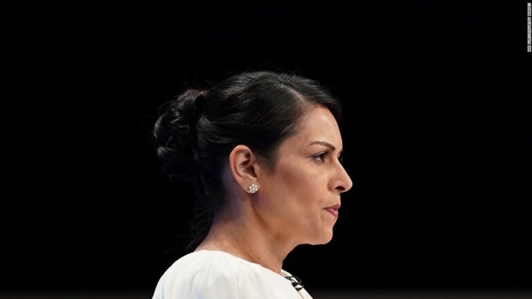 Priti Patel, Britain’s hardline home secretary, exposes the fault lines of a divided country