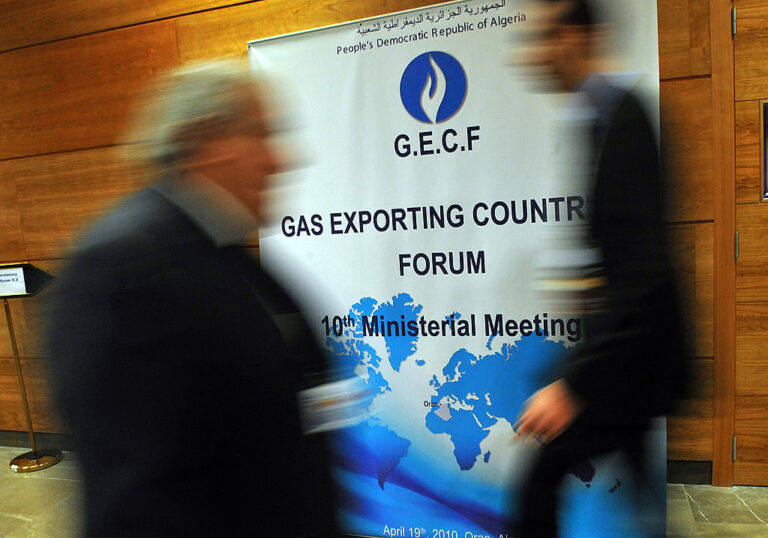 Mohamed Hamel is Gas Exporting Countries Forum new Secretary-General