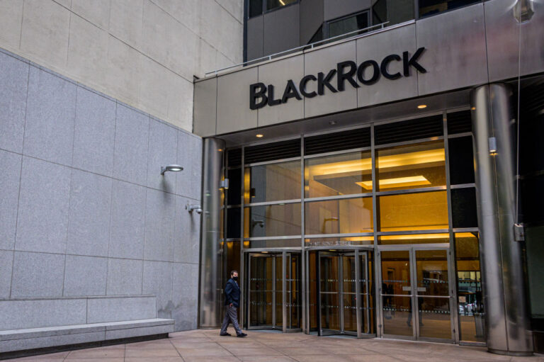 BlackRock sees coal, oil power projects facing investment challenges