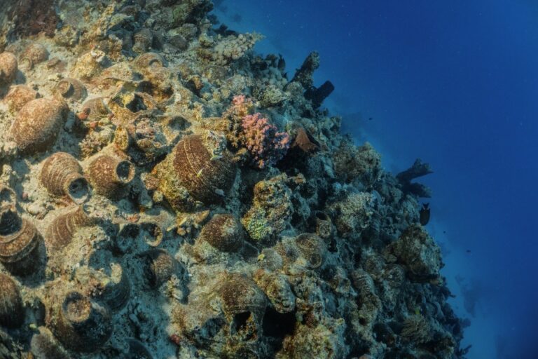 Historic Red Sea shipwreck to attract 7 million dive tourists