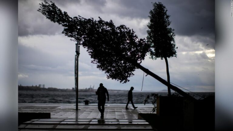 Several people killed as extreme winds sweep through Turkey