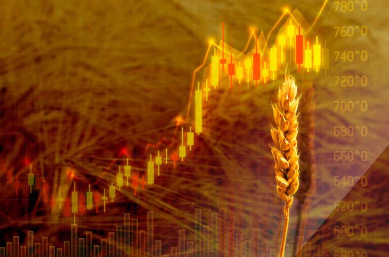 World food prices climb in November, stay at 10-year peak: FAO