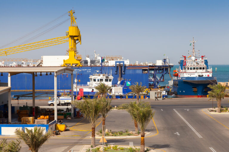 Saudi Ports Authority launches new transshipment service