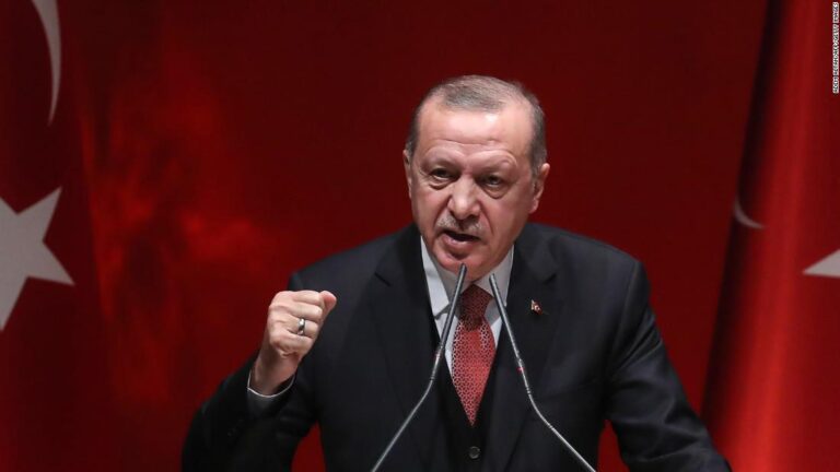 Turkish journalist detained after ‘insulting’ President Erdogan in a TV interview