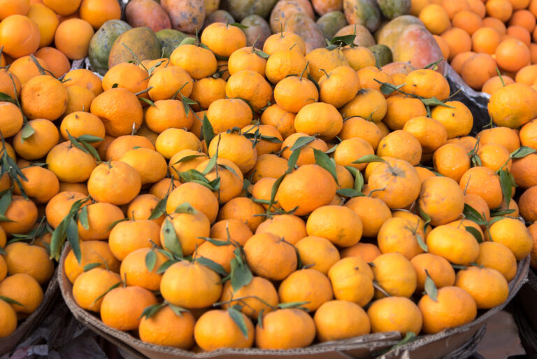 Egyptian agricultural exports in 2021 topped 5.6 million tons for the first time
