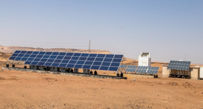 Egypt sees first private issuance of green bonds