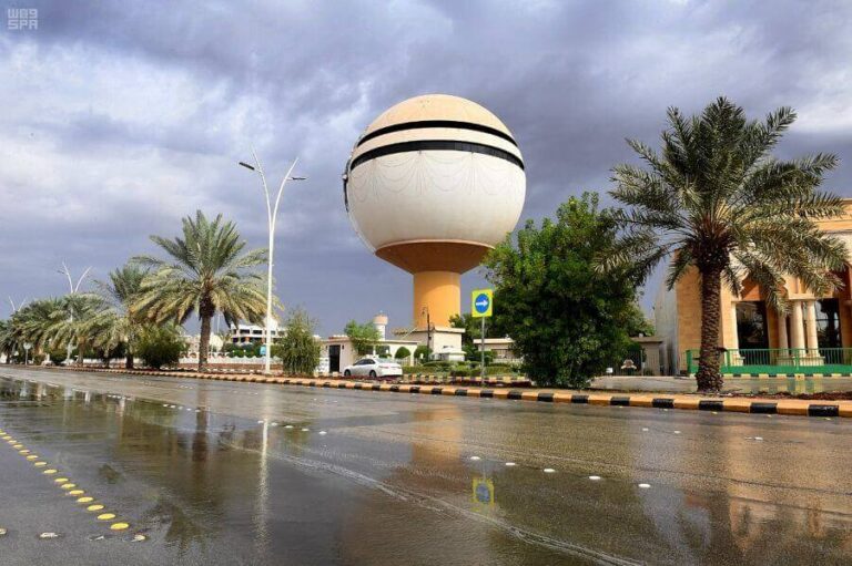 Saudi city of Buraydah sees a $133m smart parking system
