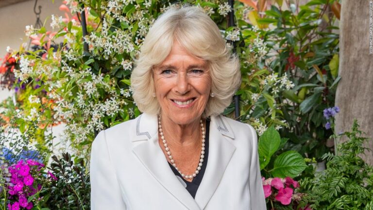 Author calls the Queen’s announcement about Camilla a ‘masterstroke’