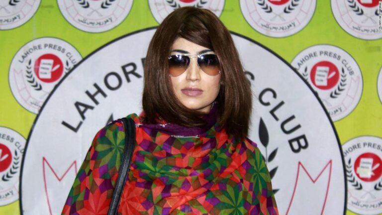 Brother, who confessed to killing his social media star sister, freed by court