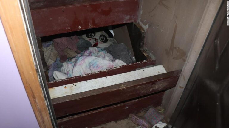 Inside the two-year search for a missing child found alive under a staircase