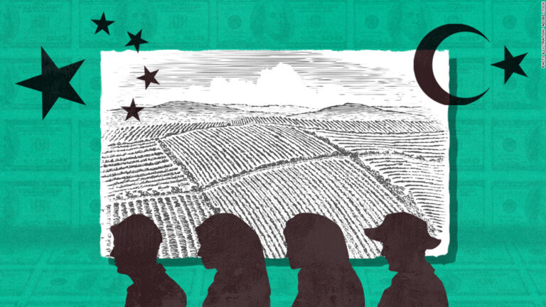 Development bank accused of lending millions to firms allegedly linked to forced labor in Xinjiang