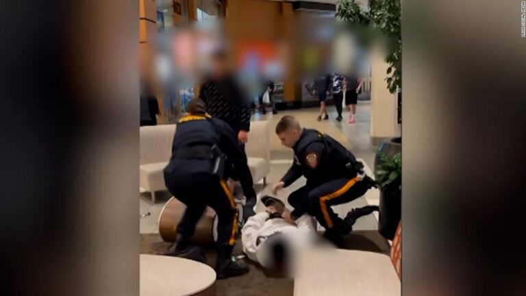 Video of police breaking up a fight between Black teen and White teen in mall prompts outrage