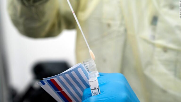 As BA.2 subvariant of Omicron rises, lab studies point to signs of severity