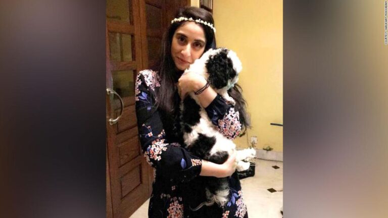 Pakistan-American man sentenced to death for beheading a diplomat’s daughter