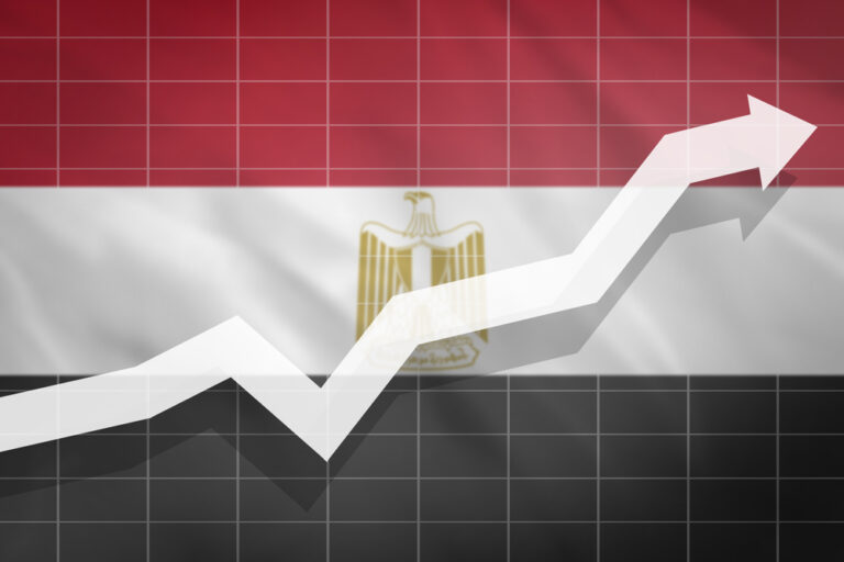 Egypt expects a 6% economic growth despite COVID-19, minister says