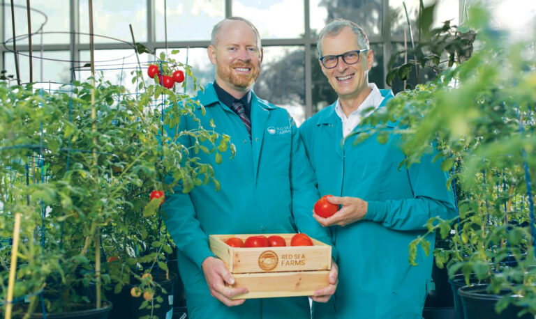 Red Sea Farms sees tie-up with American university as a gateway to global market, says CEO