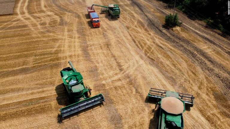 War has brought the world to the brink of a food crisis