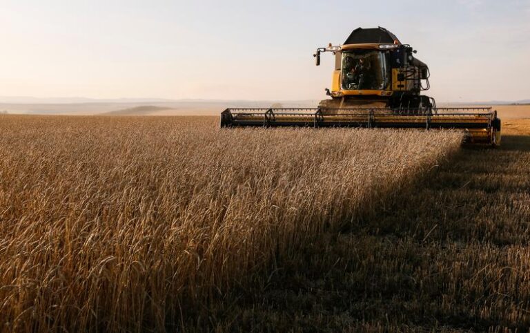 Russia may suspend grain exports until June 30: Interfax