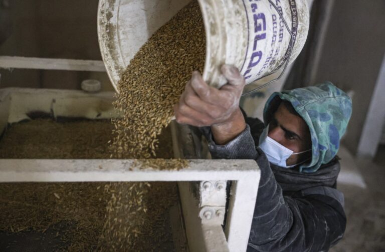 Markets update — Gold steady, soybean and wheat rise, corns ease