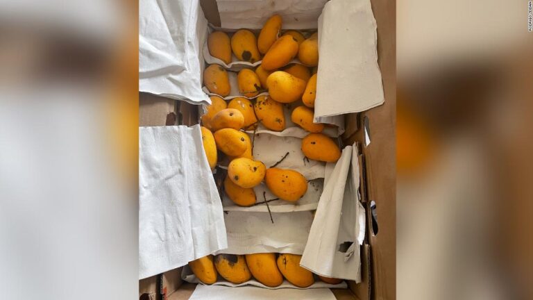 We’re locked down in Shanghai with 25 pounds of mangoes