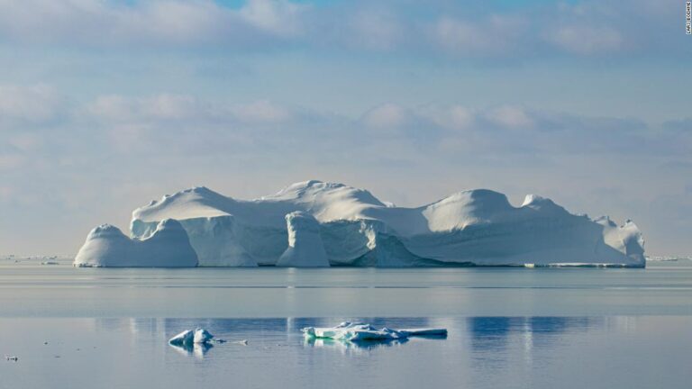 Antarctica’s majestic underwater world is trying to adapt to a warmer planet