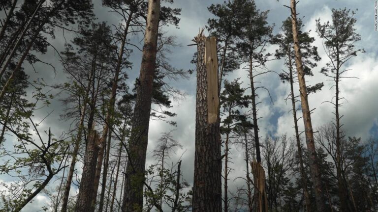Ukraine’s natural environment is another casualty of war. The damage could be felt for decades