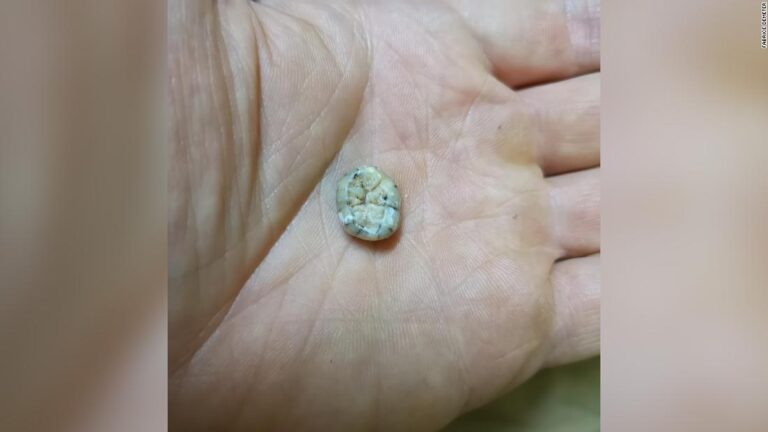 A tooth found in a remote cave is revealing more about a group of mysterious early humans