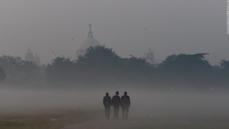 One in six killed by pollution worldwide, study finds