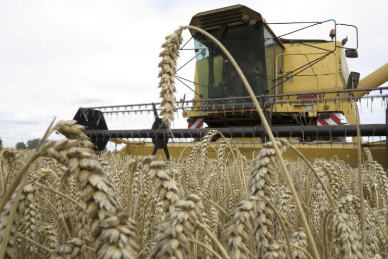 Commodities Update — Grains ease; G7 continues pressure on Russia to tackle wheat war; Indonesia seizes cooking oil shipment