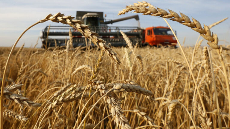 UN holds ‘constructive’ talks in Moscow on grain, fertilizer exports