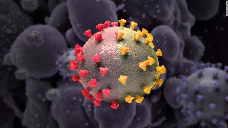 New Covid subvariants escape antibodies, studies suggest, but vaccines expected to protect against serious disease