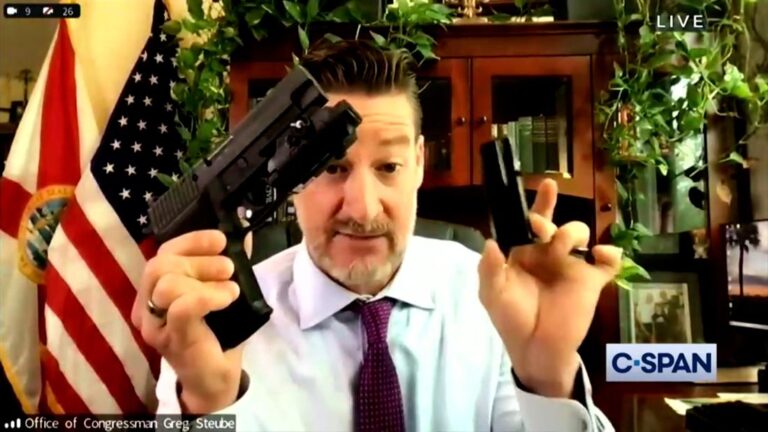 Republican lawmaker pulls out weapons on webcam: ‘I can do whatever I want with my guns’