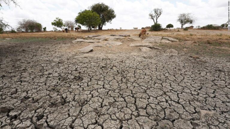 Climate crisis costs up over 800% as UN donor nations fail to keep pace, report says