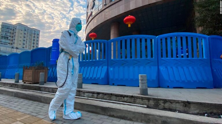 ‘More work’ to be done’: Key takeaways from the WHO report on origins of the Covid-19 pandemic
